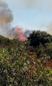 incendio_pianelle_5luglio2017_foto2